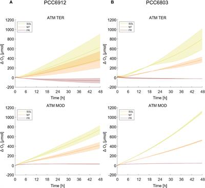 Transcriptomic and photosynthetic analyses of Synechocystis sp. PCC6803 and Chlorogloeopsis fritschii sp. PCC6912 exposed to an M-dwarf spectrum under an anoxic atmosphere